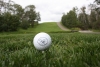Double Dam Golf Course Logo