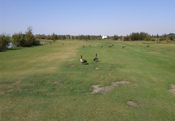 Terrae Pines Golf Course