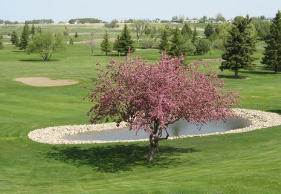 Magrath Golf Club
