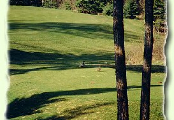 Whitemud Creek Golf & RV Resort