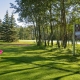 Morningview Park Golf Course