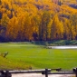 River Ridge Golf & Country Club small